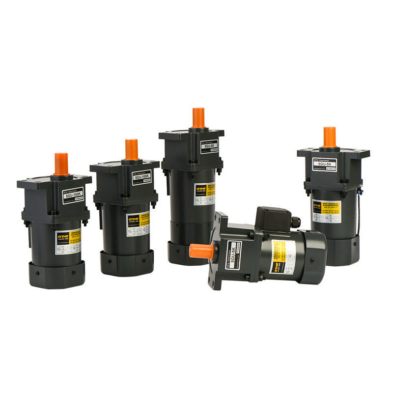 kundenspezifischer Bewegungselektrisches Gang-Motor-Wechselstrom-DC 110V 220V 380V 24V 48V des Gang-10W